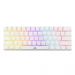 Baracuda DOLPHIN RGB 60% | Bedraad Gaming Toetsenbord | Red Switches | Anti-Ghosting | QWERTY | Wit